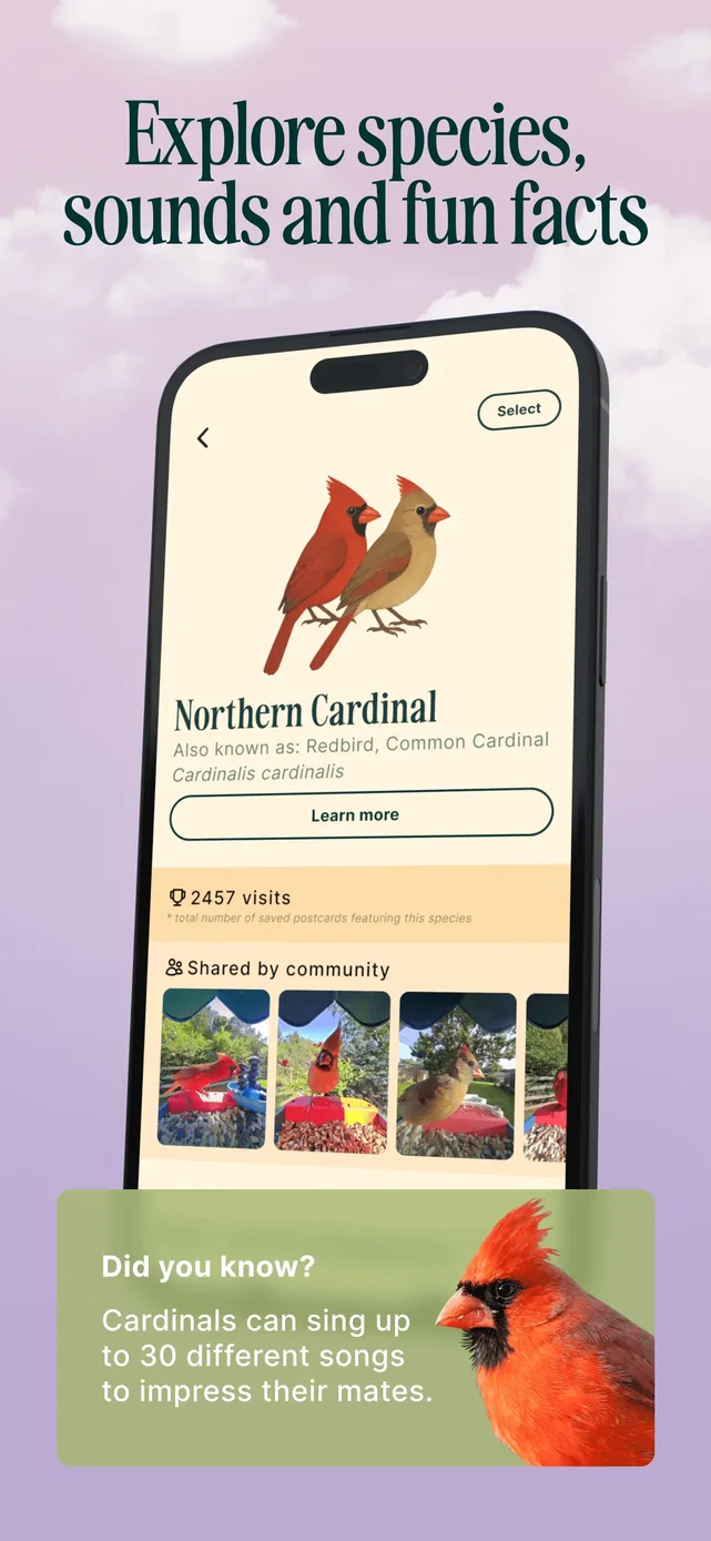 Birdbuddy: ID & Collect Birds App Store screenshot 3