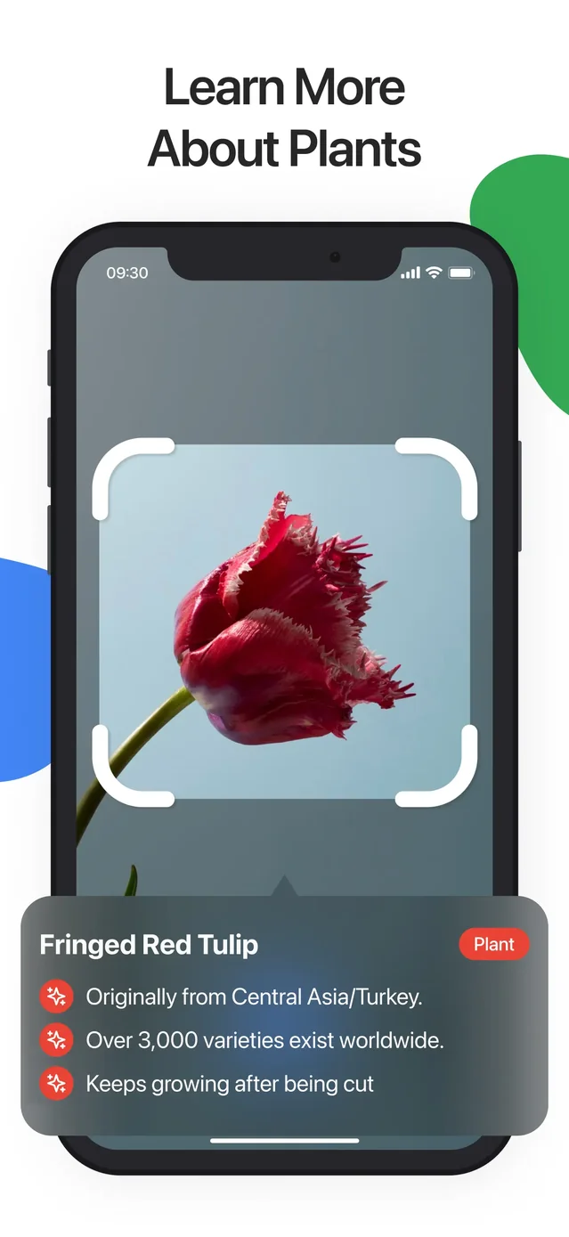 Lens Scan: Identify Anything App Store screenshot 4