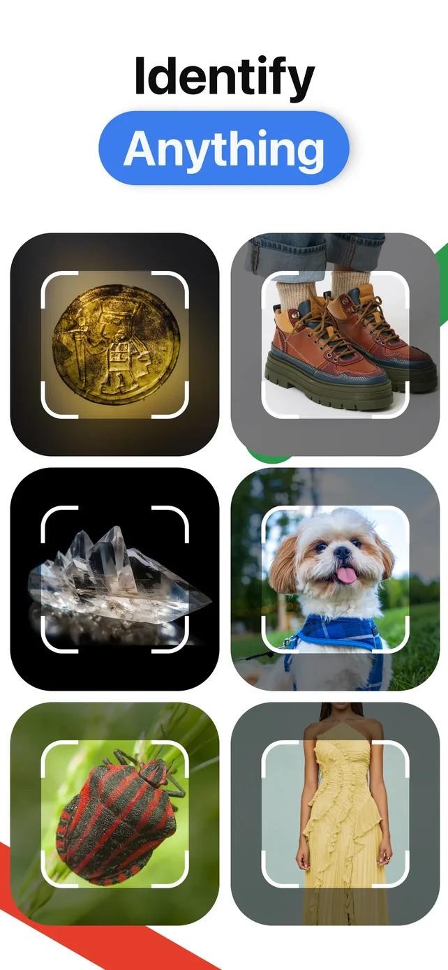 Lens AI: Identify Anything App Store screenshot 1