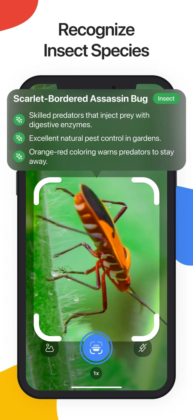 Lens Scan: Identify Anything App Store screenshot 3