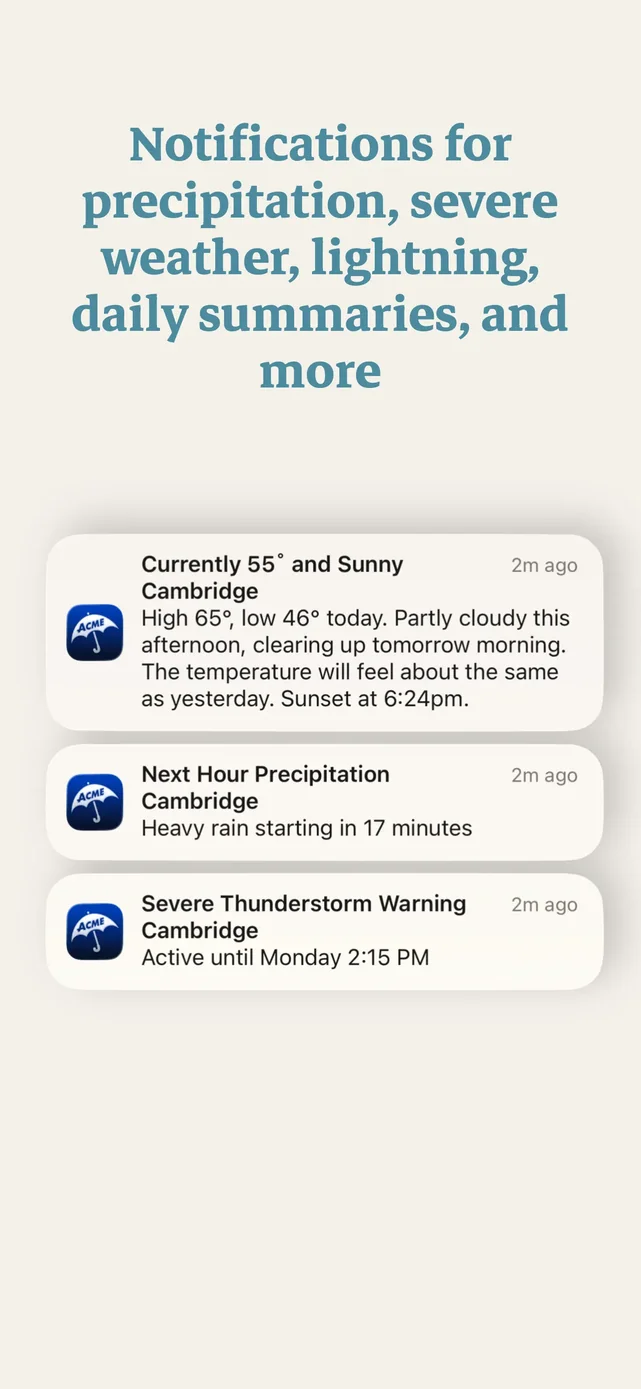 Acme Weather App Store screenshot 4